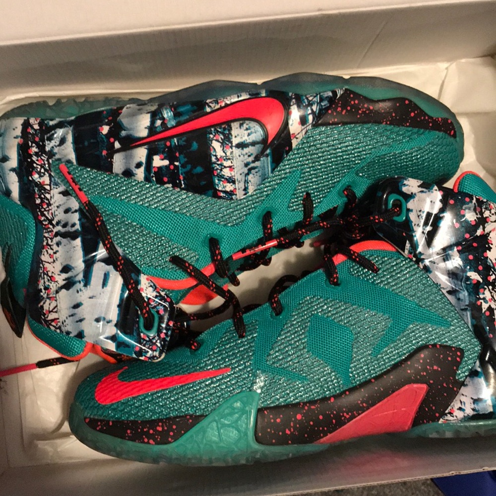 Lebron XII